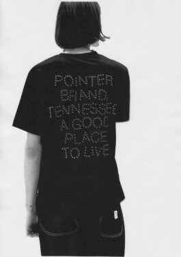 Pointer Brand